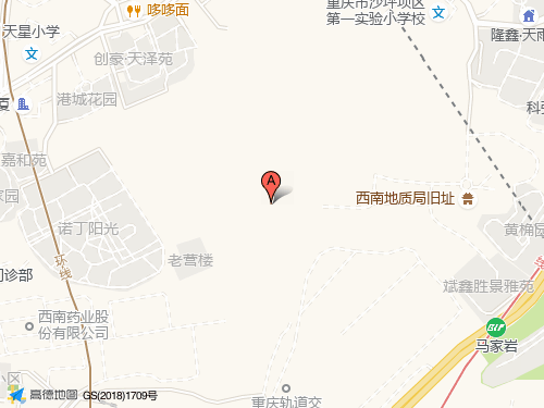沙坪壩區地圖
